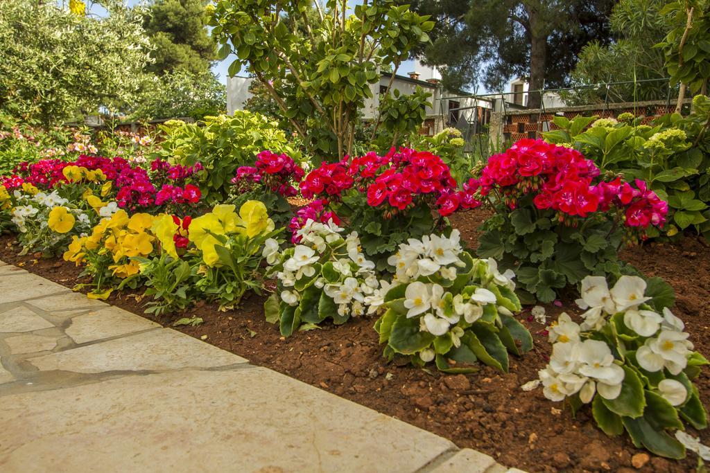 Apartments Hortensia Pula Ngoại thất bức ảnh